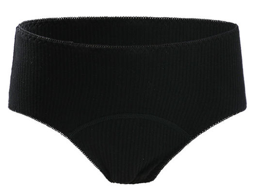 Youth Menstrual Period Panties Underwear Ladies Quick Dried Undies Nylon Washable Menstrual Panties